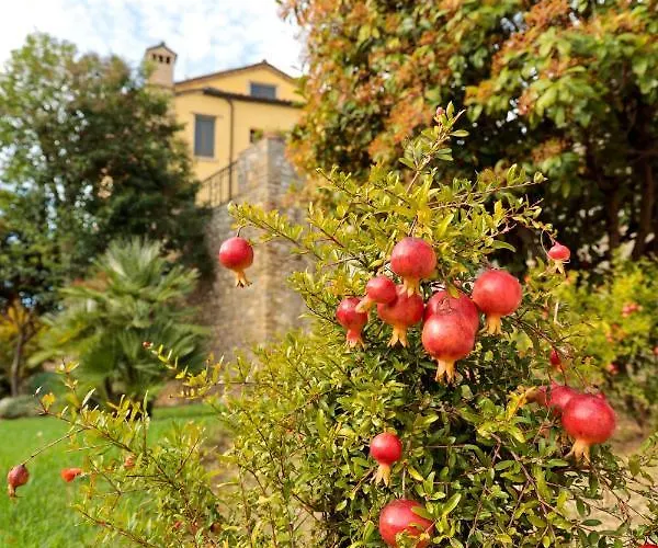 Corte Dei Tini 테라모