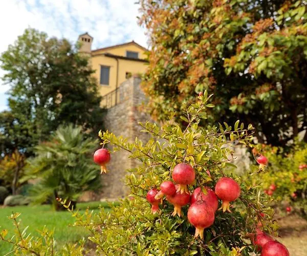 Corte Dei Tini Teramo